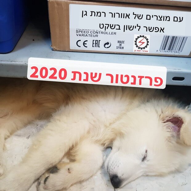פרזנטורית